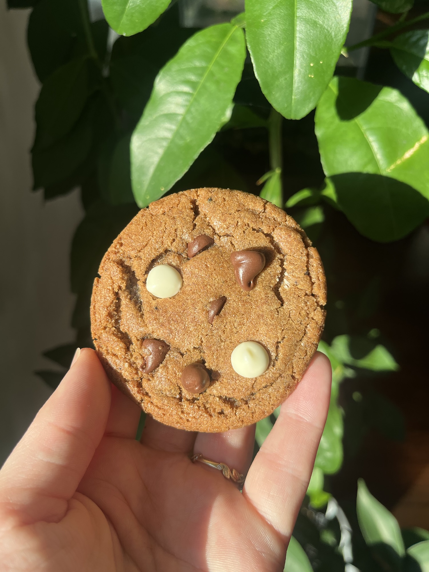 Browned Butter Espresso Chocolate Chip Cookie Recipe