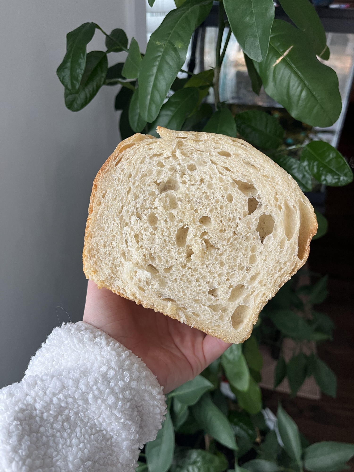 Basic Everyday Sourdough Sandwich Loaf Recipe