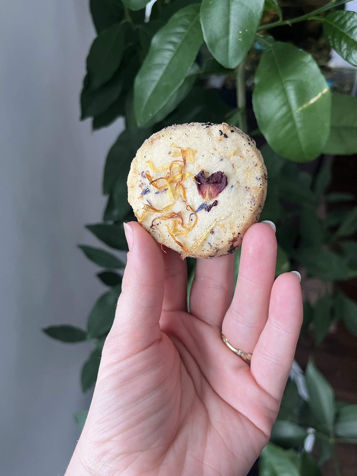 Edible Flower Shortbread Cookies Recipe