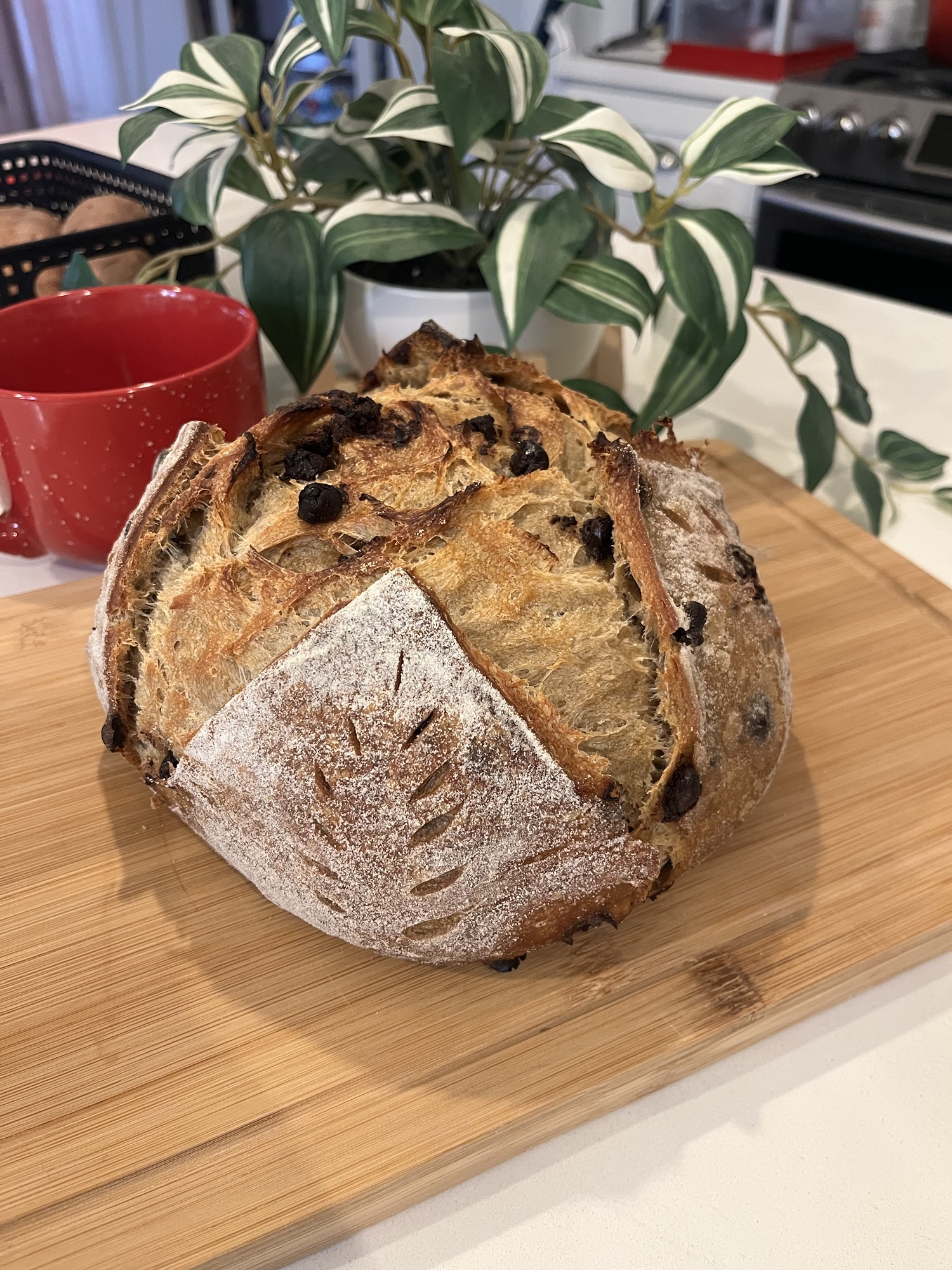 Coffee Chocolate Chip Sourdough Loaf Recipe