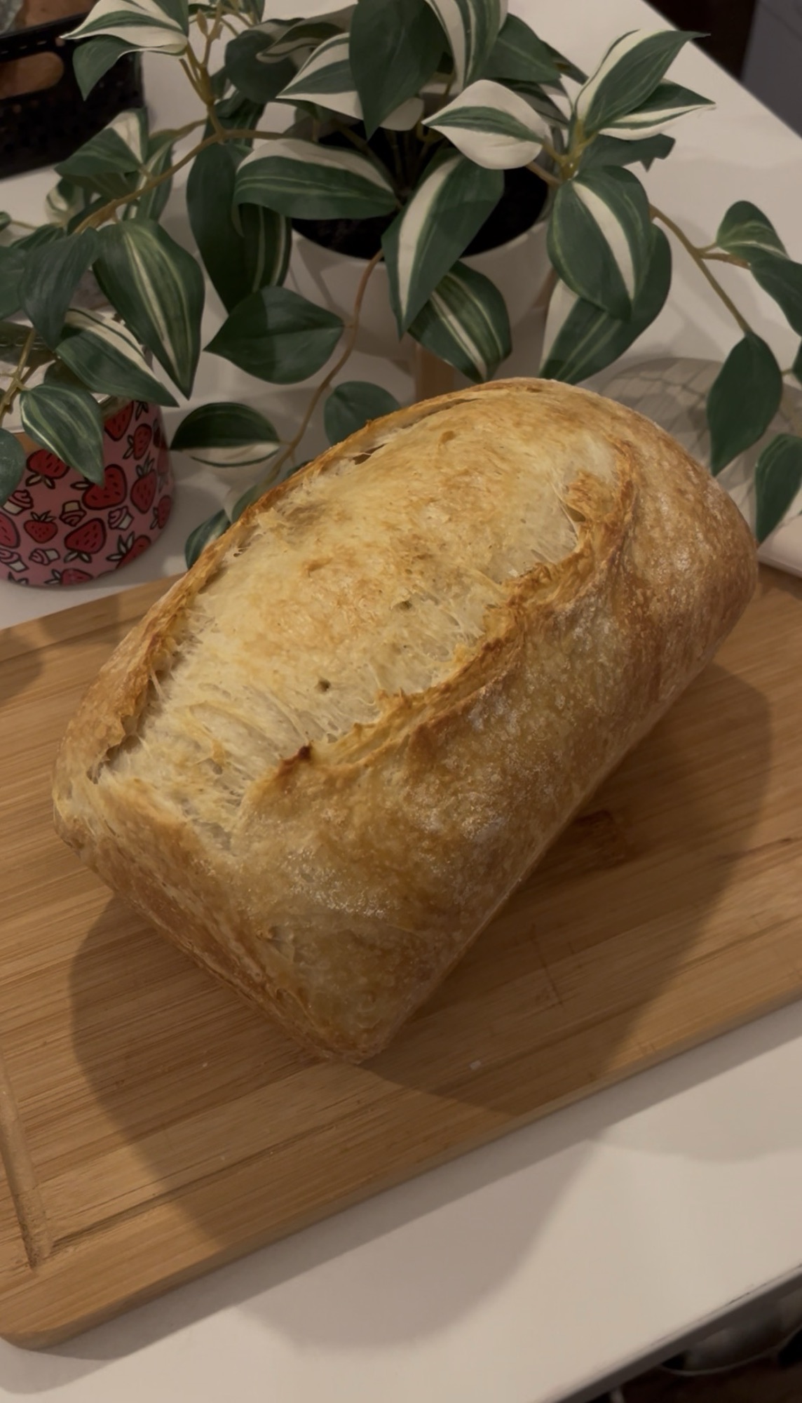 Sourdough Croissant Sandwich Loaf Recipe