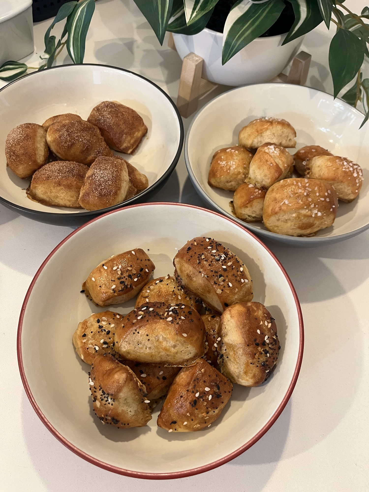 Sourdough Discard Pretzel Bites Recipe