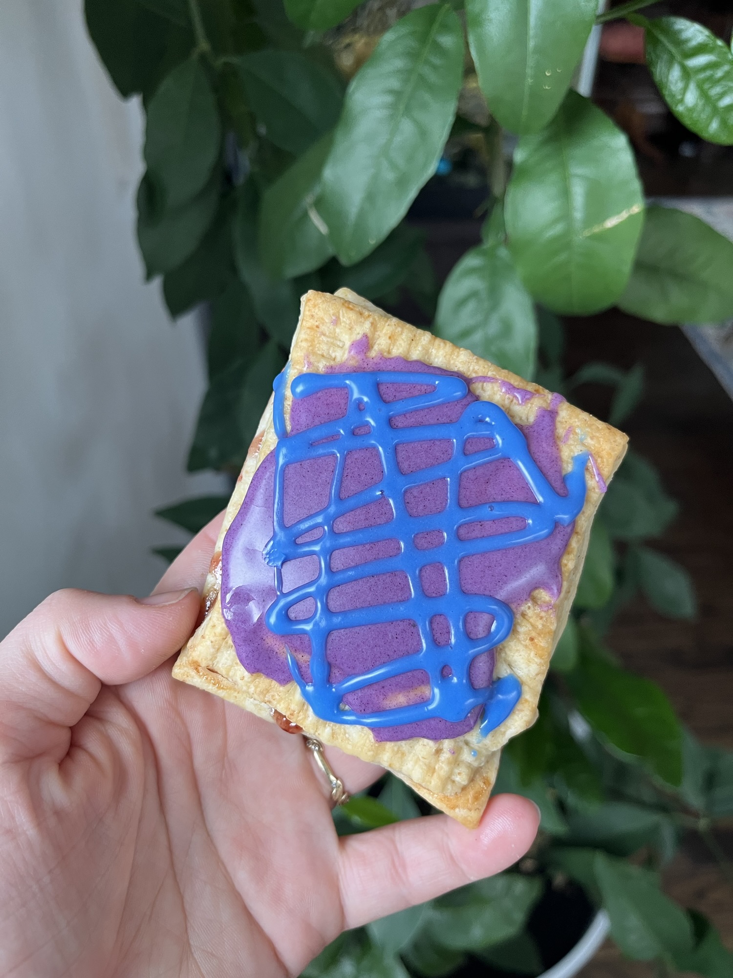 Homemade Sourdough Discard Pop Tart Recipe