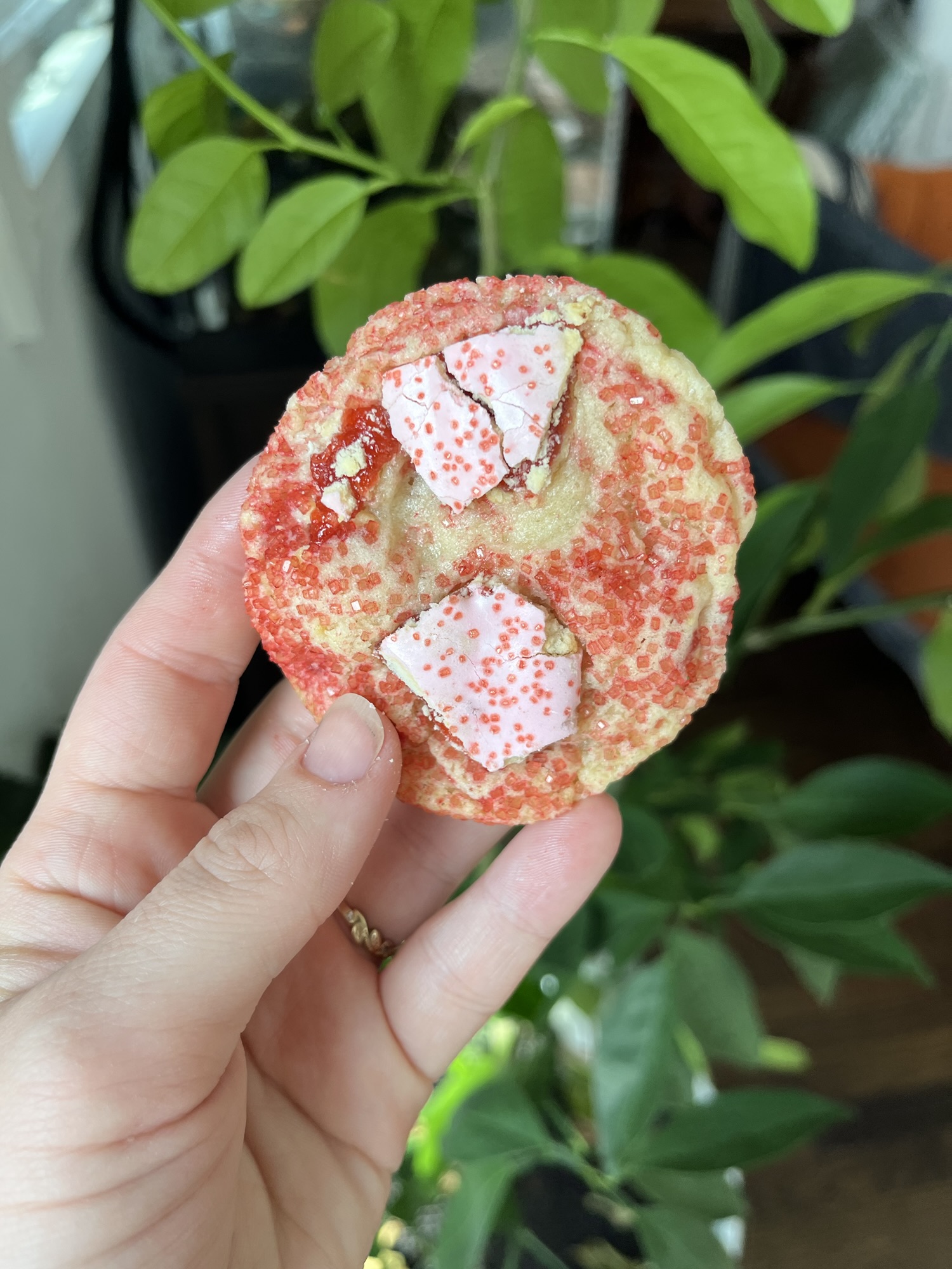 Sourdough Discard Pop-Tart Sugar Cookie Recipe