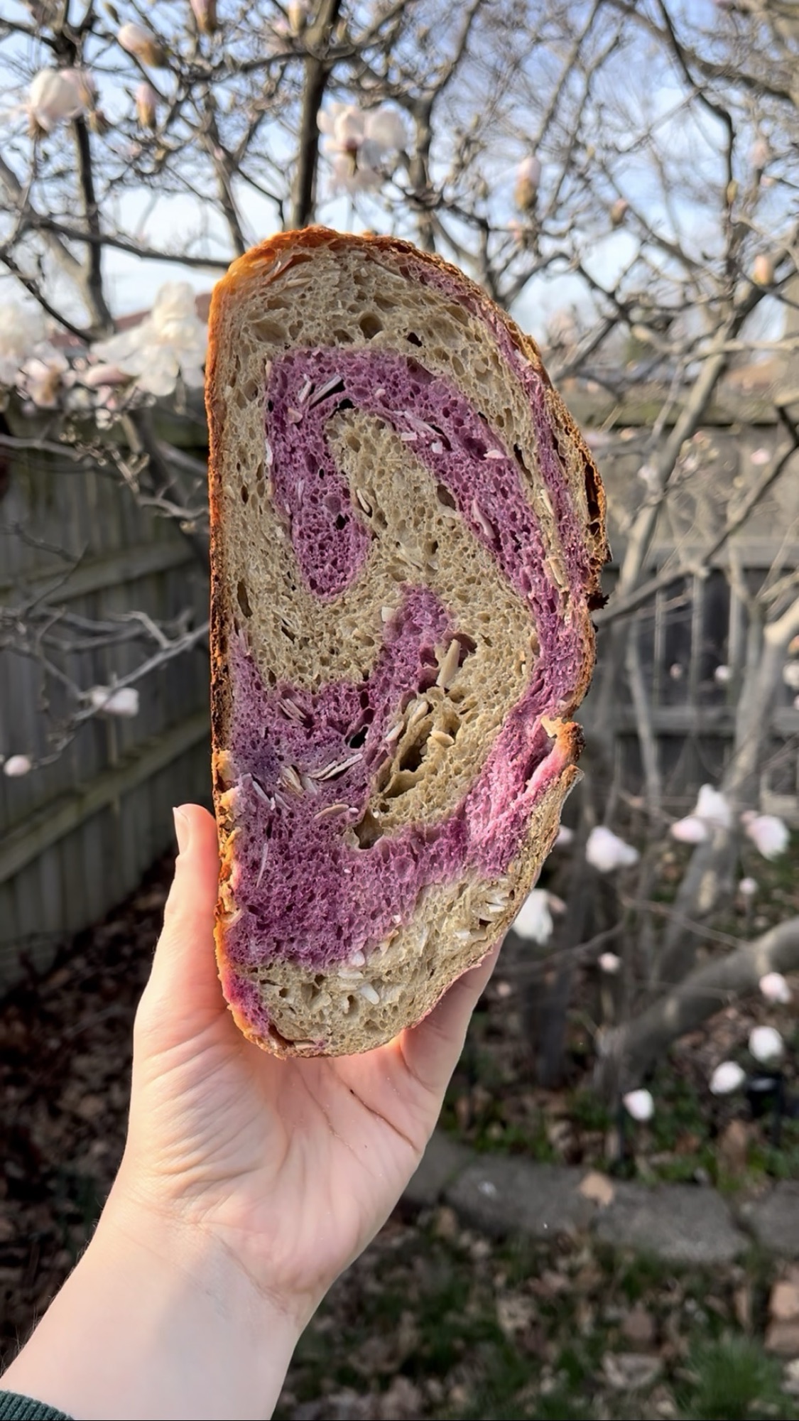 Ube Coconut Macchiato Sourdough Loaf Recipe