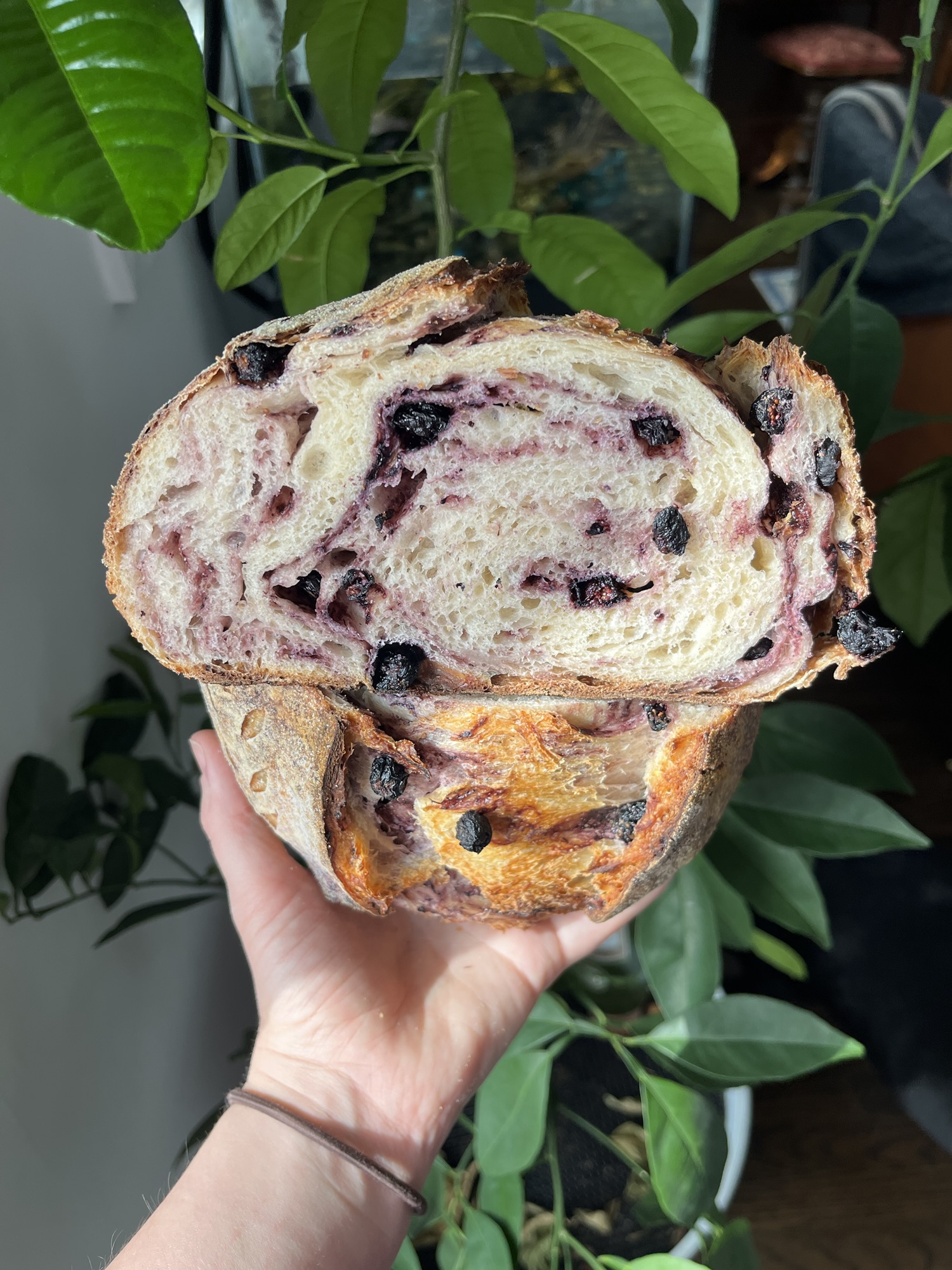 Blueberry Lemon Sourdough Loaf Recipe