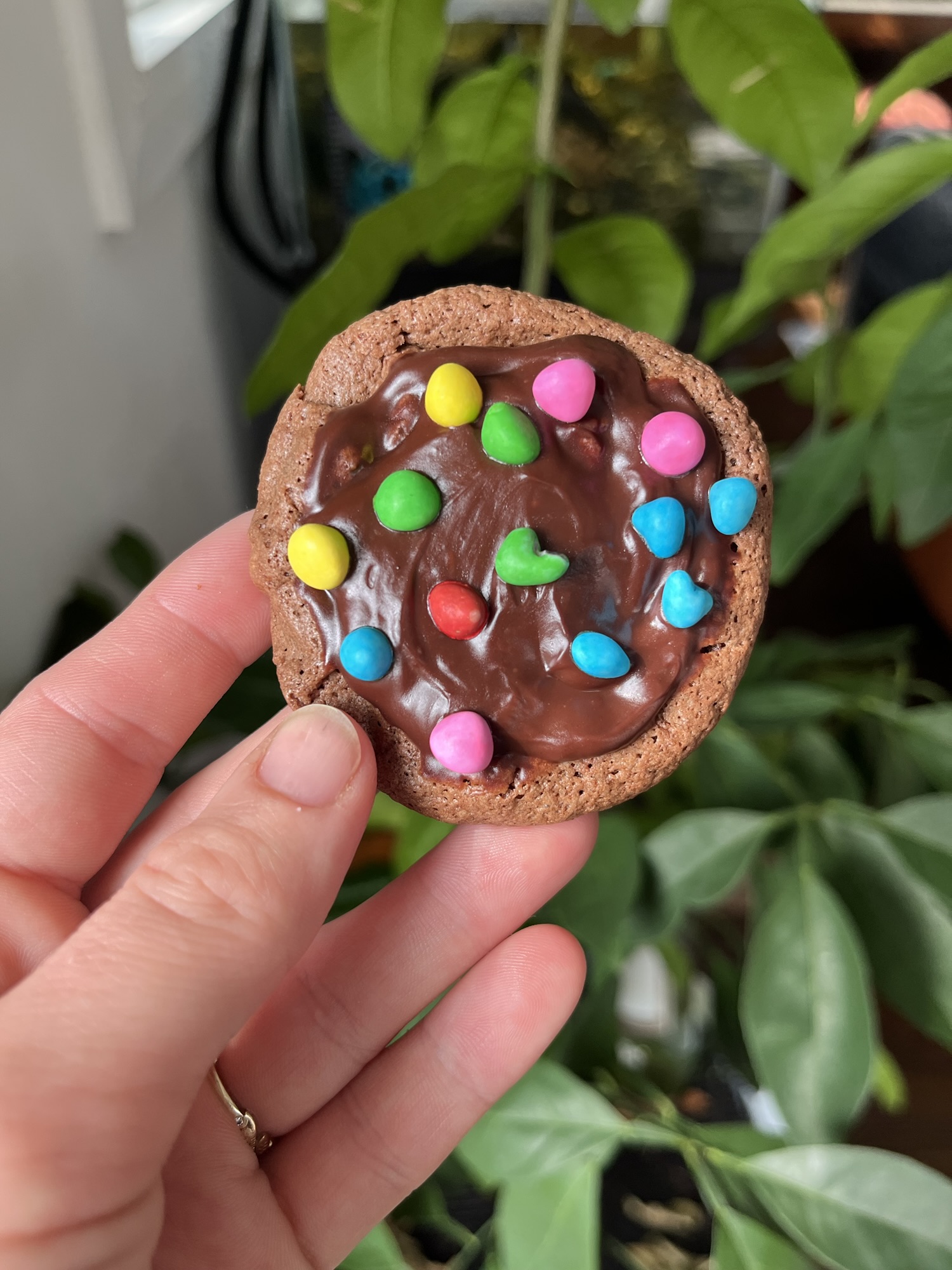 Sourdough Discard Cosmic Brownie Cookie Recipe