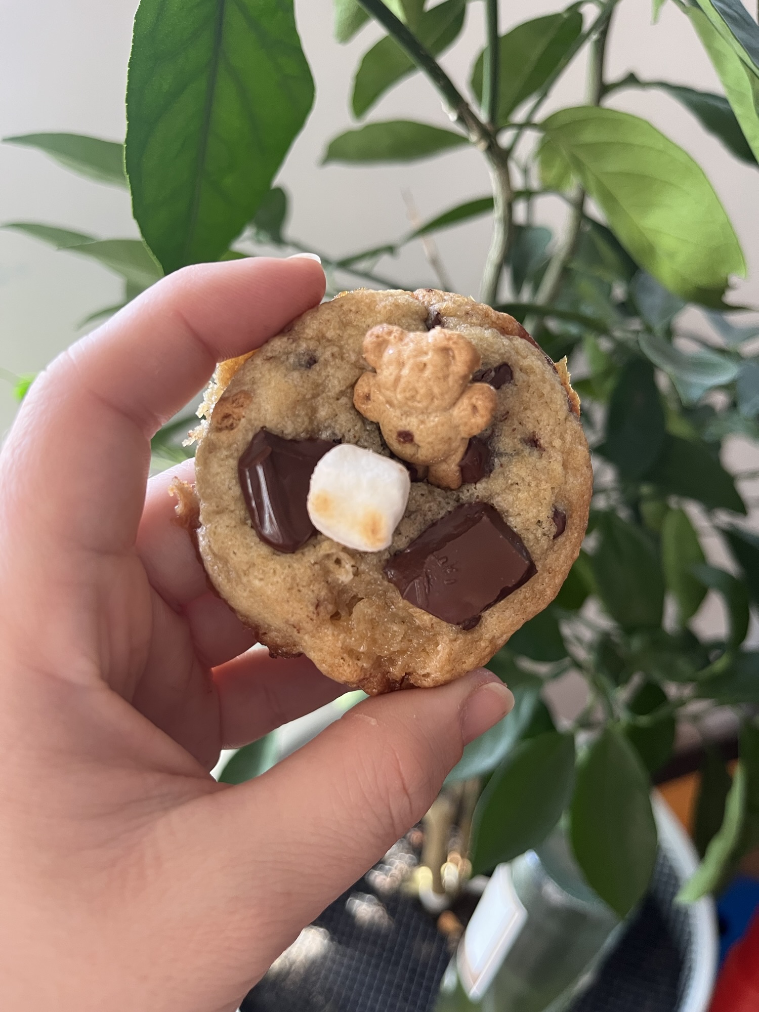 Sourdough Discard S’mores Cookie Recipe