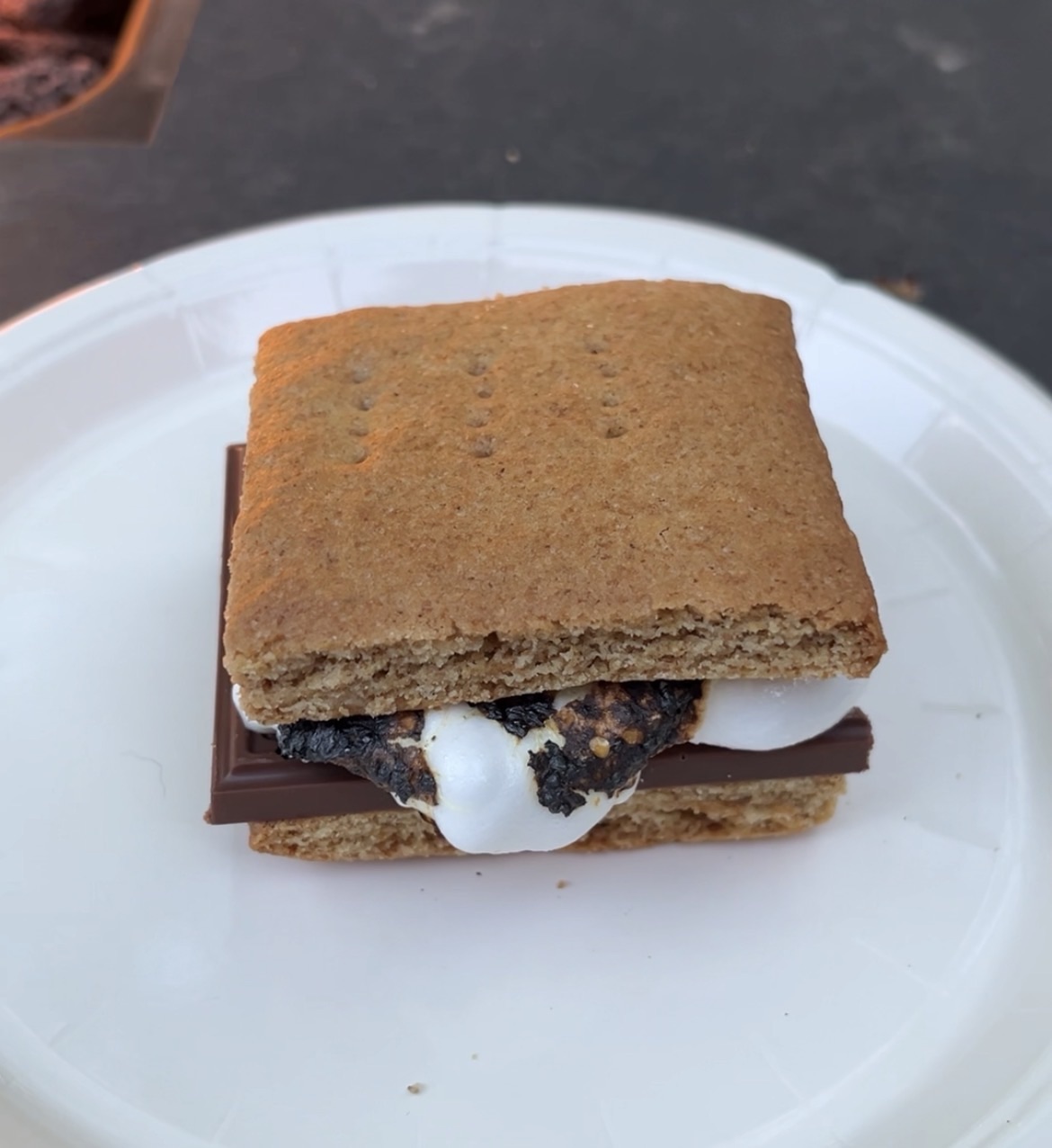 Sourdough Discard Graham Cracker Recipe