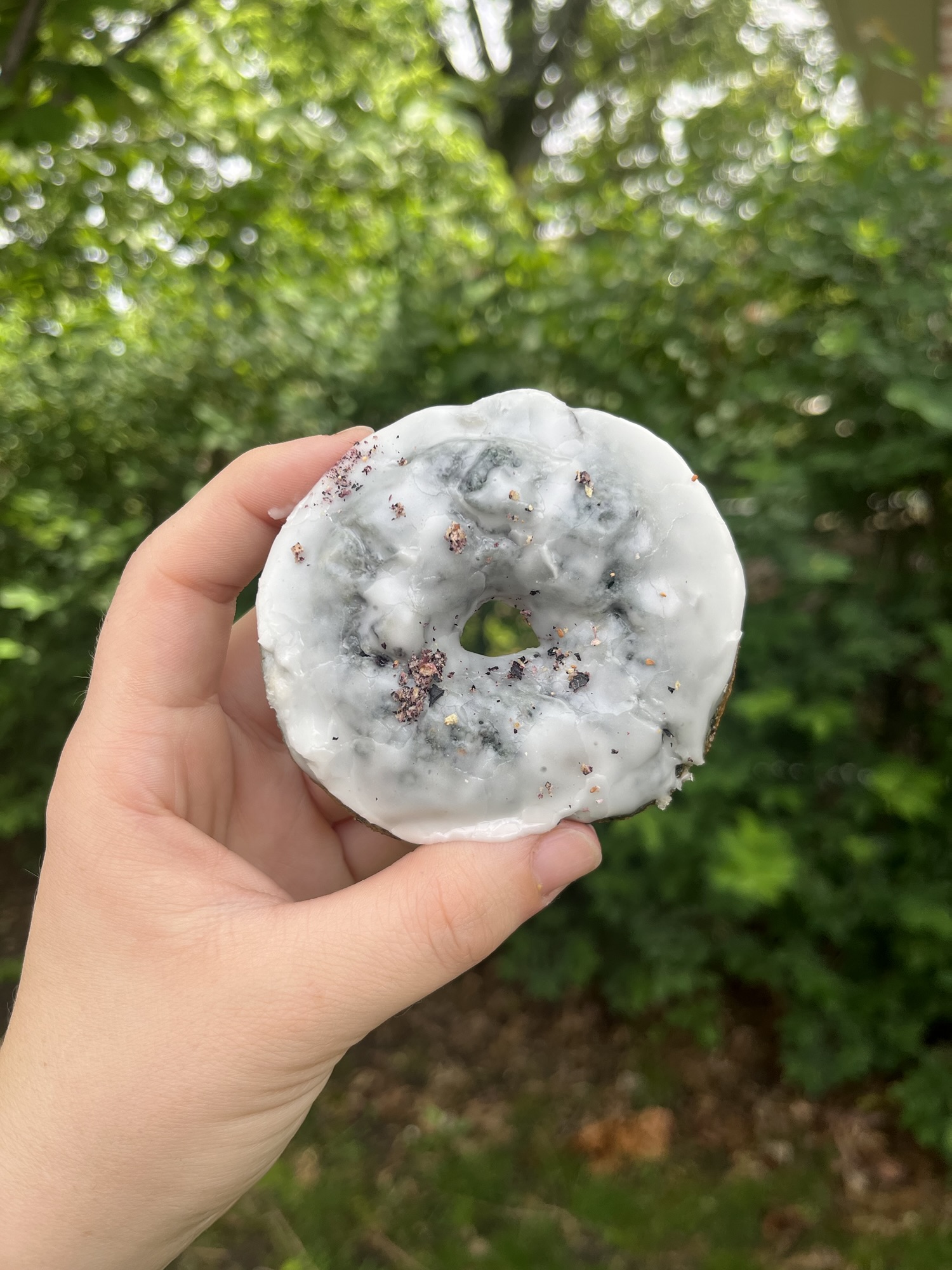 Lemon Glazed Blueberry Sourdough Donut Recipe