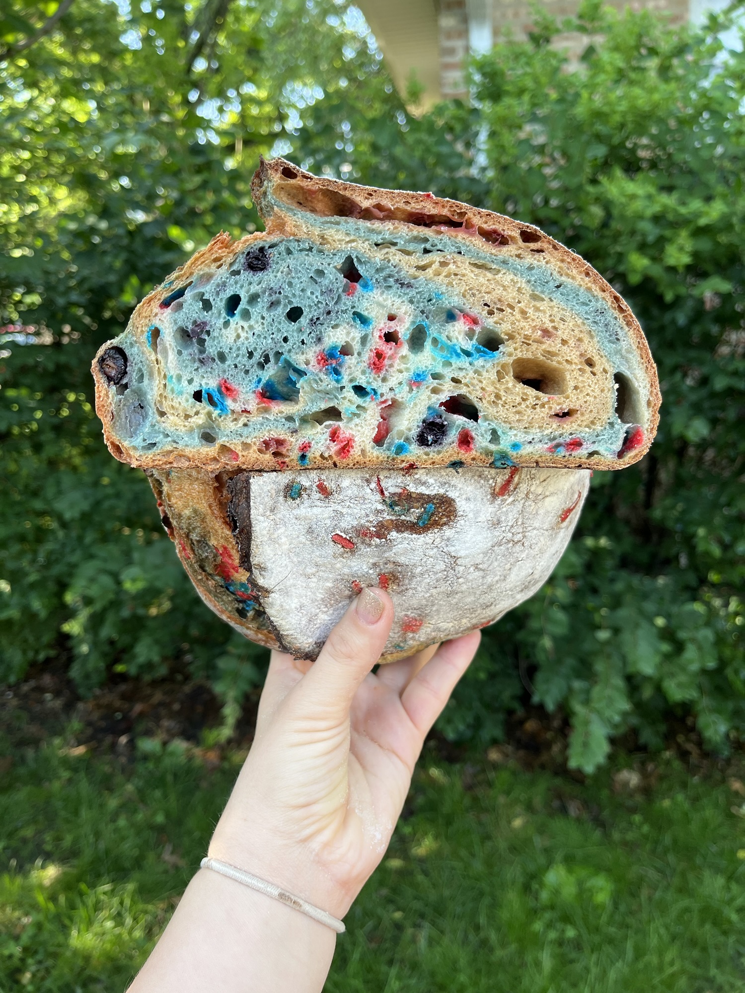 Red, White, & Blue Berry Sourdough Loaf Recipe