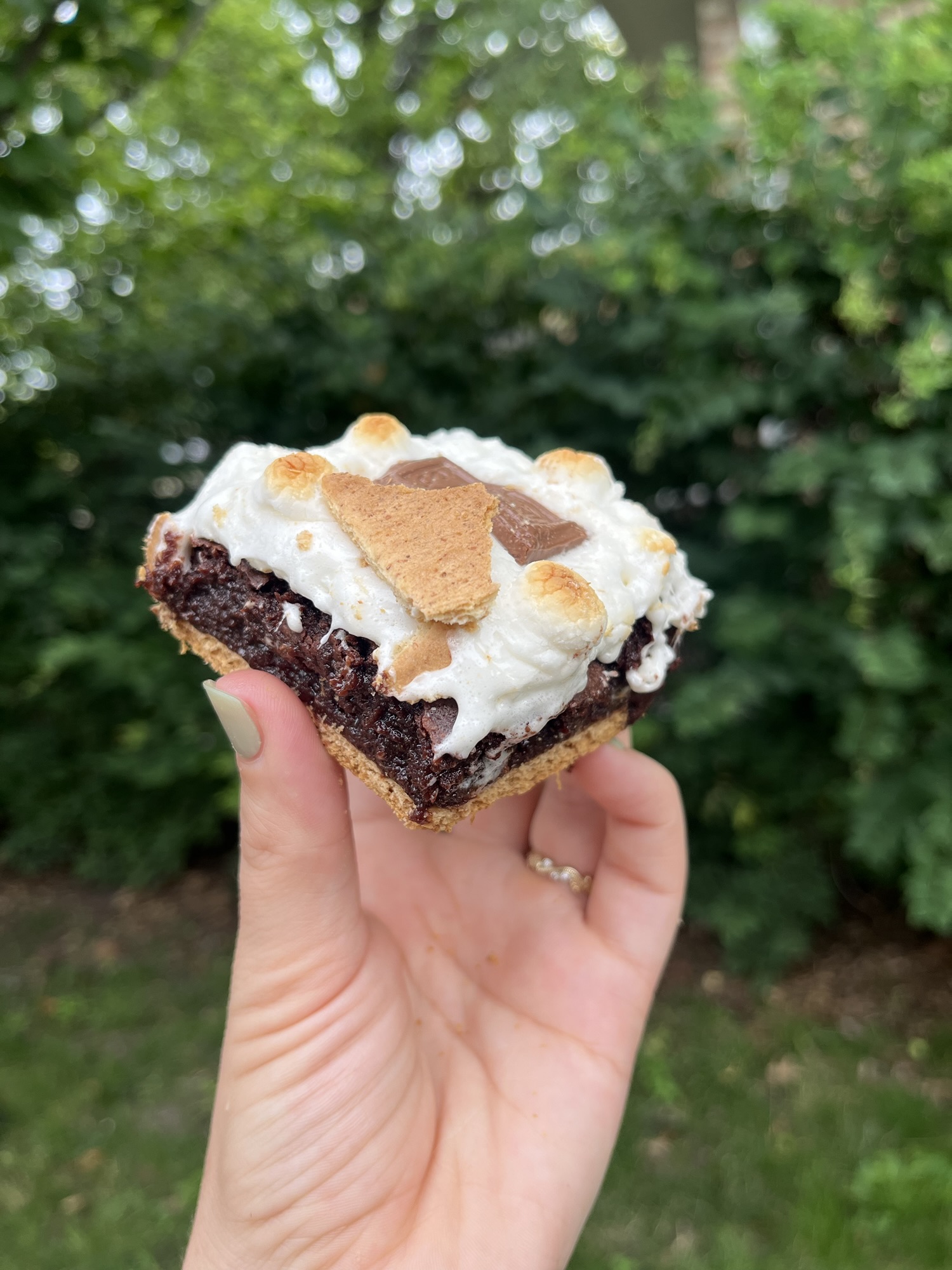 Sourdough Discard S’mores Brownies Recipe