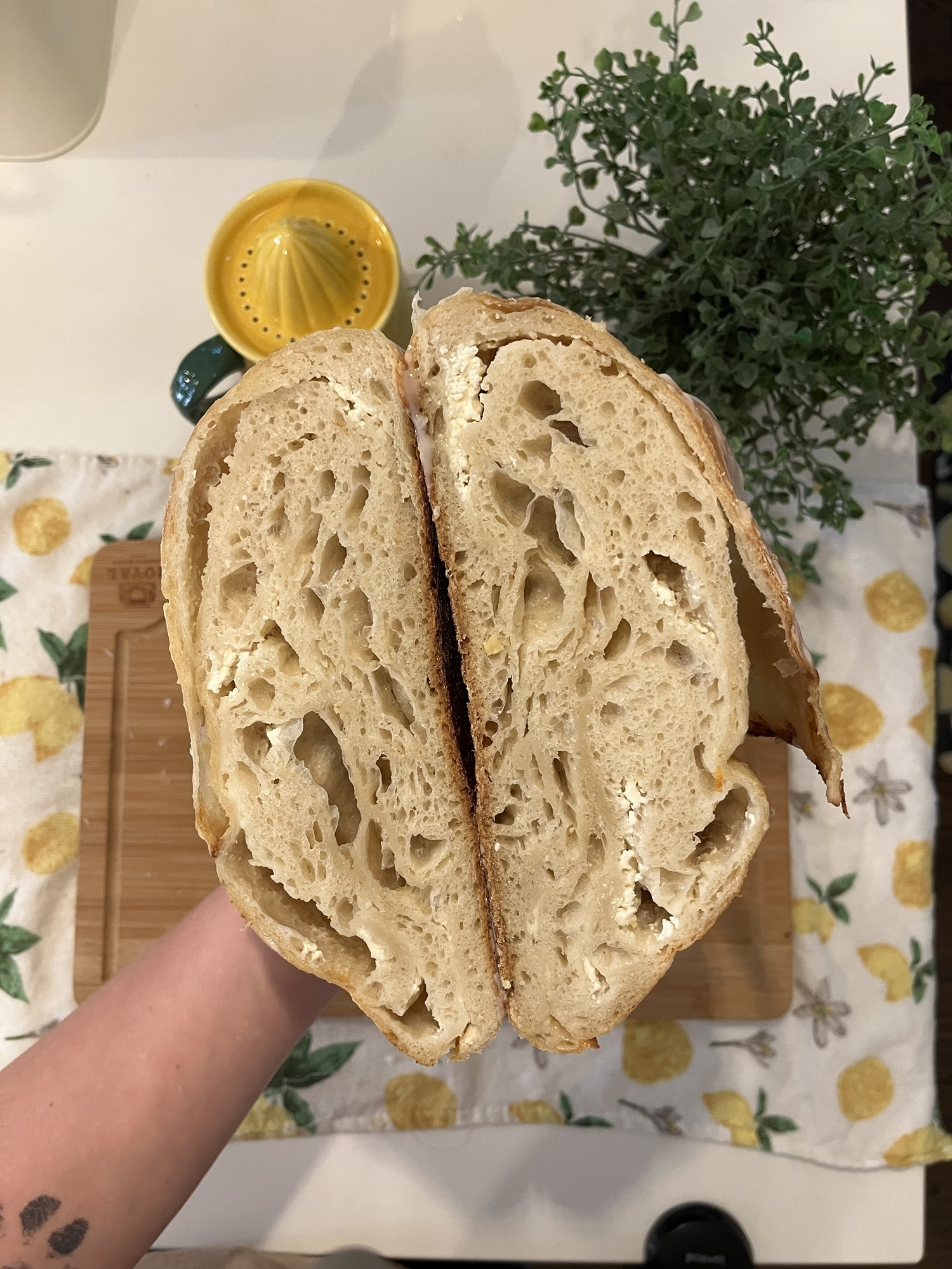 Lemon Ricotta Sourdough Loaf Recipe