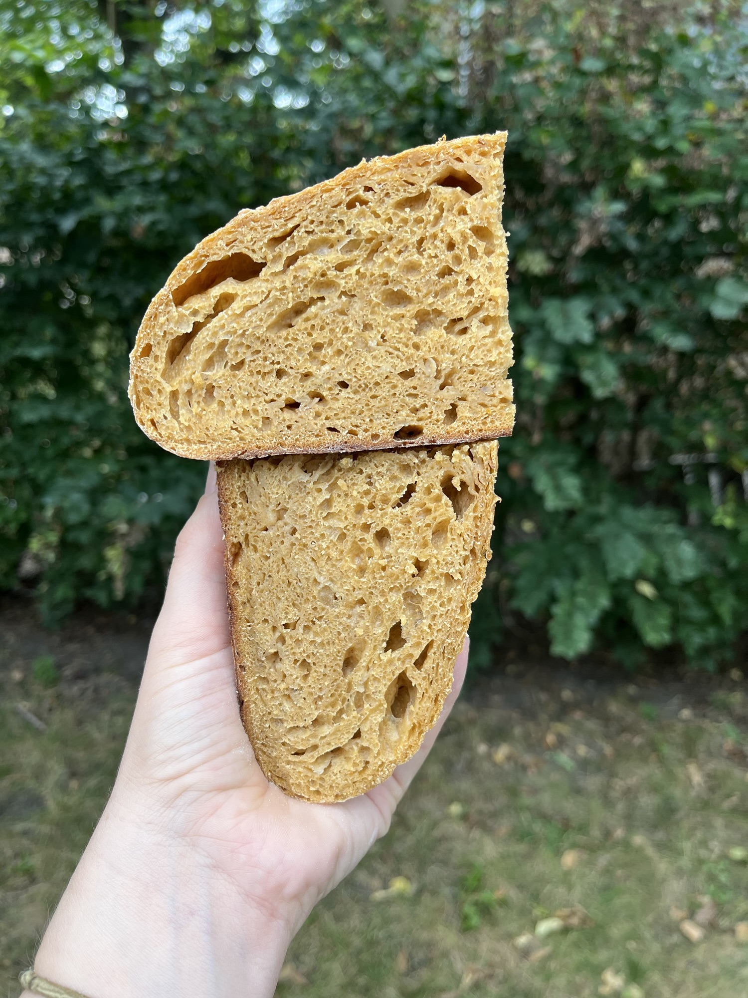 Pumpkin Apple Sourdough Loaf Recipe